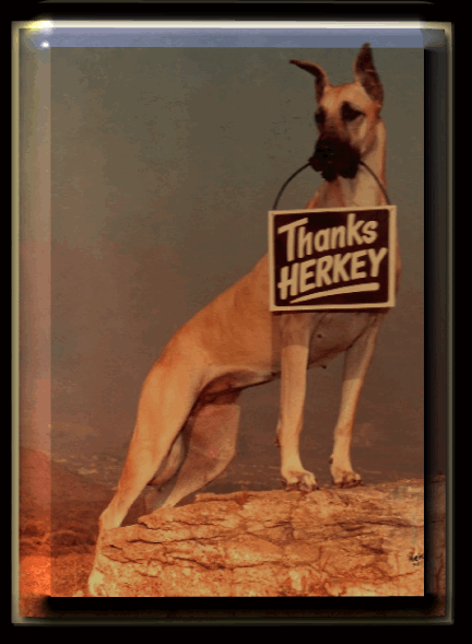 Anadane Kennel, Registered Herkey Pierce & Susan RIchards