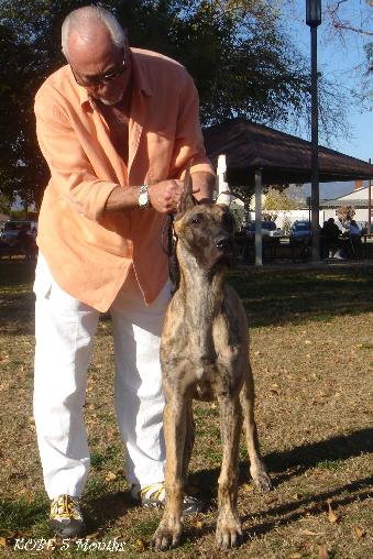 Anadane's Win U HankyPanky PBJS "Kobe"