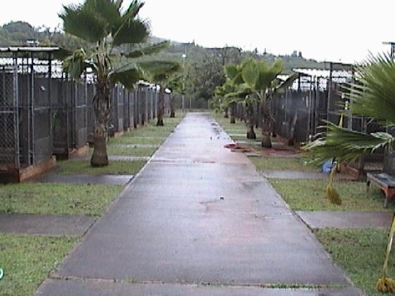 Hawaii Animal Quarantine Station
